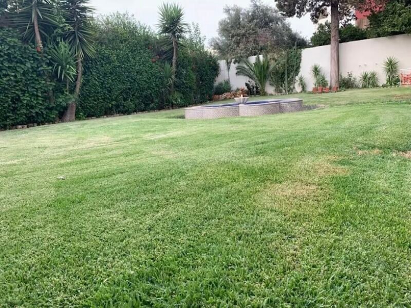 Trachen Wedding Hall